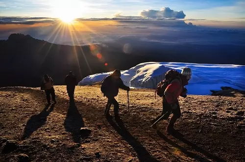 Los mejores 7 días Lemosho ruta Kilimanjaro escalada for 2023 and 2024