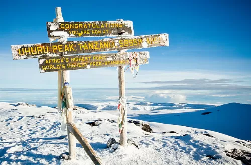 19 Best Kilimanjaro Climbing Packages 2024/2025