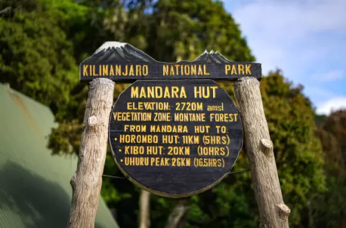 Can You Climb Kilimanjaro in a Day?