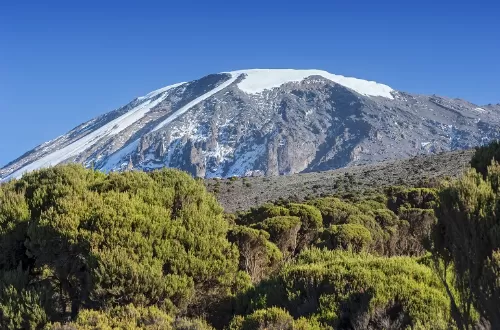 best travel insurance for kilimanjaro