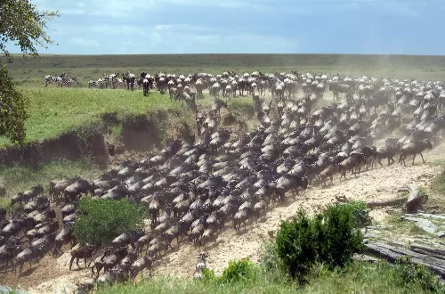 Best time to visit Serengeti National Park