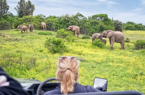 5 days South Africa safari from Johannesburg