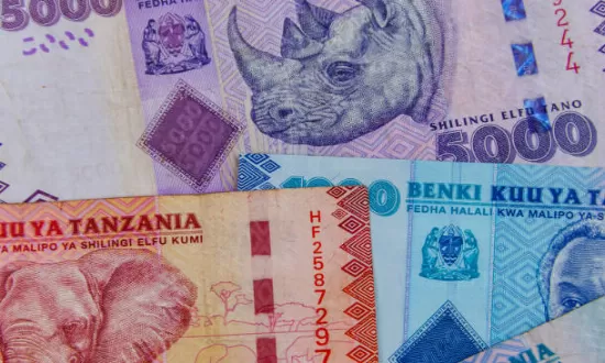 Tanzania currency - Tanzanian shilling