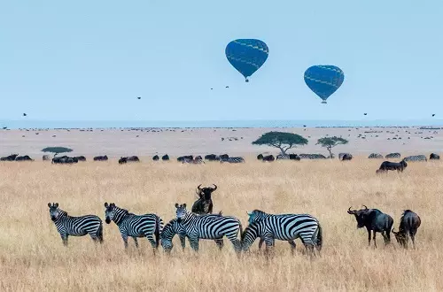 Best hot air balloon safari in Tarangire