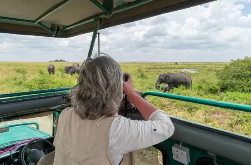 Best Tanzania safari group tours in August 2024 and tickets