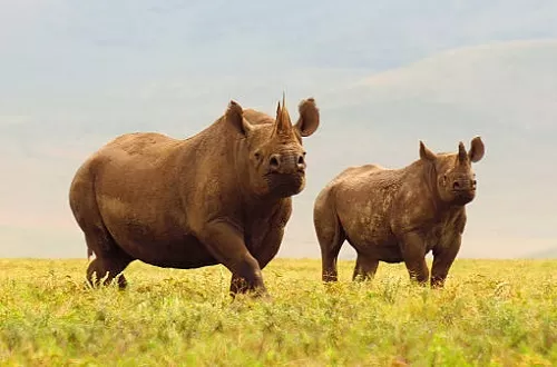 Is one day enough for Ngorongoro Crater?