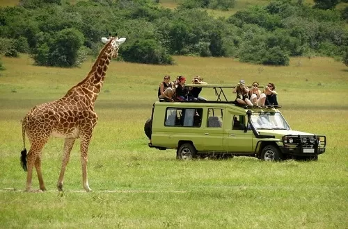 Schedule fixed Tanzania safari group tours in June 2025