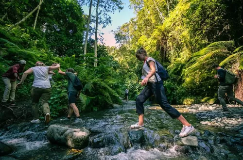 Best Napuru Waterfalls Day Trip from Arusha