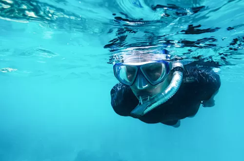 Zanzibar Snorkeling Tours: Underwater Wonders